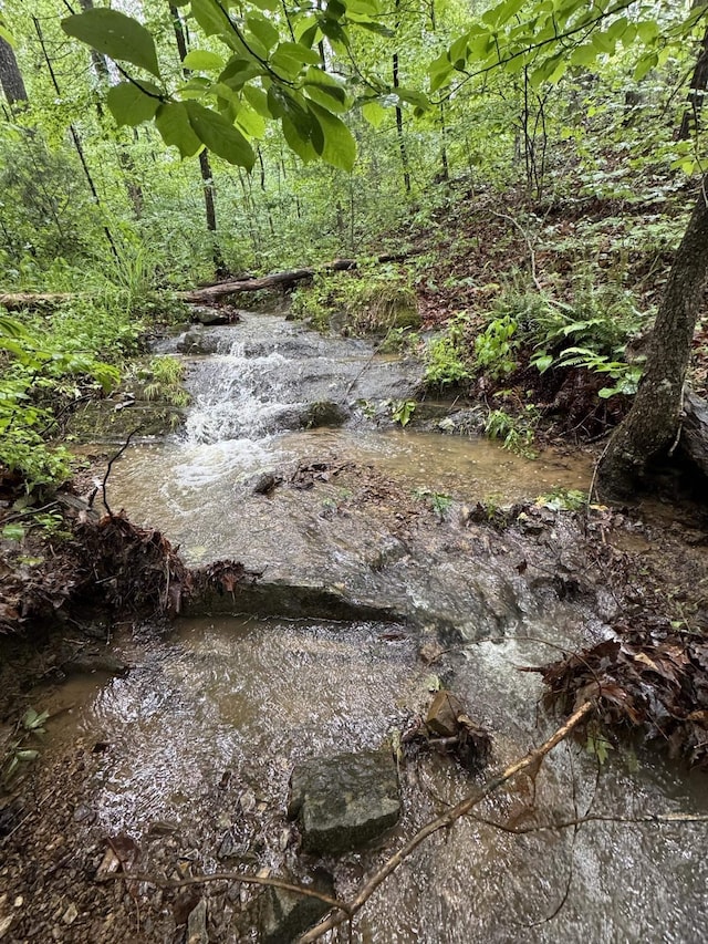TBD Stribling Springs Rd, Mount Solon, VA 22843