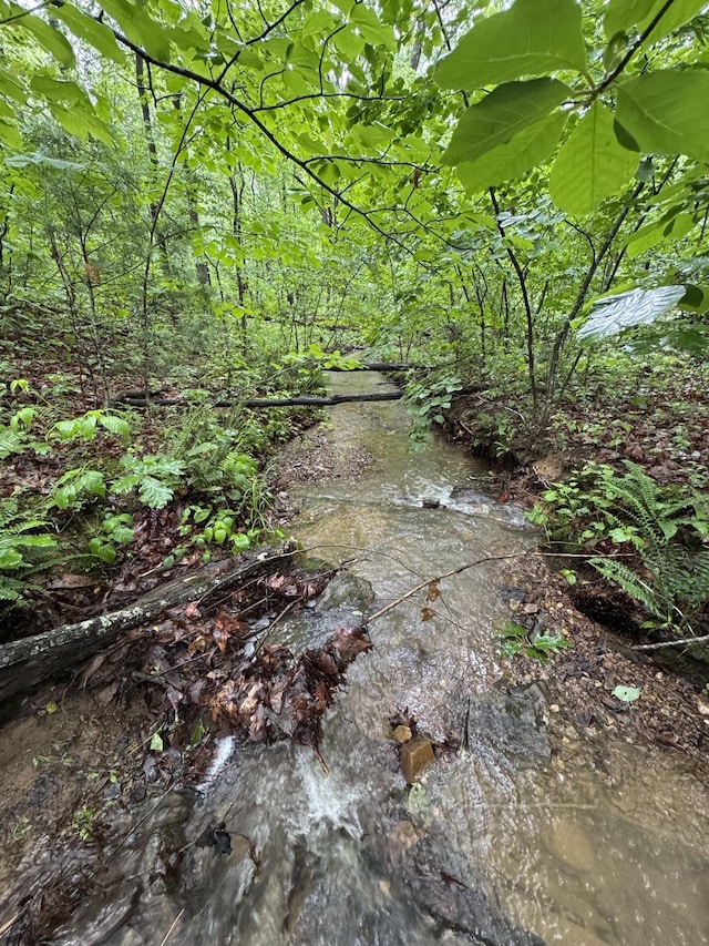 TBD Stribling Springs Rd, Mount Solon, VA 22843