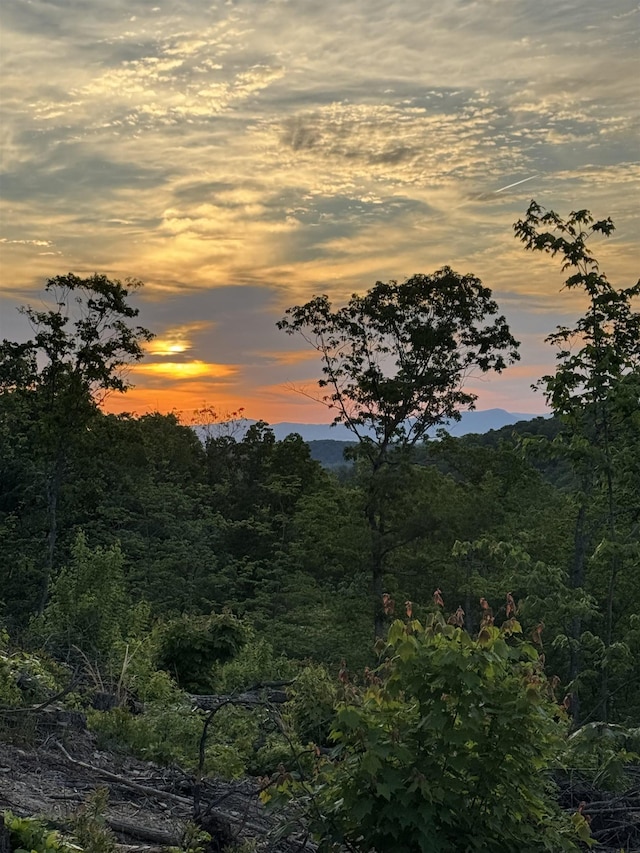 TBD Stribling Springs Rd, Mount Solon, VA 22843