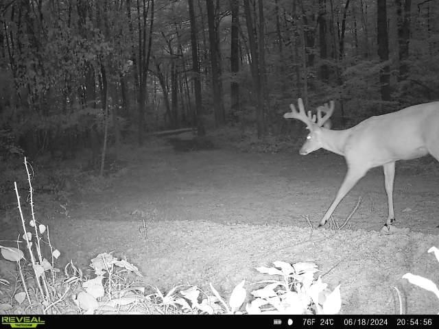 TBD Stribling Springs Rd, Mount Solon, VA 22843