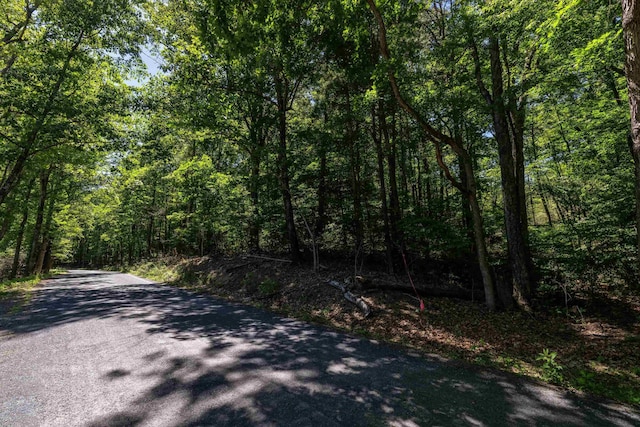 TBD Stribling Springs Rd, Mount Solon, VA 22843