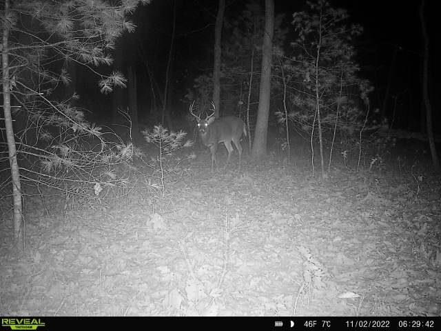 TBD Stribling Springs Rd, Mount Solon, VA 22843