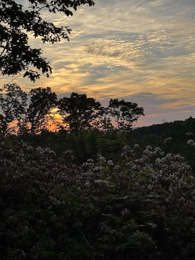 TBD Stribling Springs Rd, Mount Solon, VA 22843