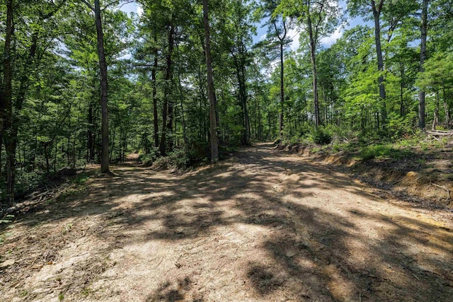 TBD Stribling Springs Rd, Mount Solon, VA 22843