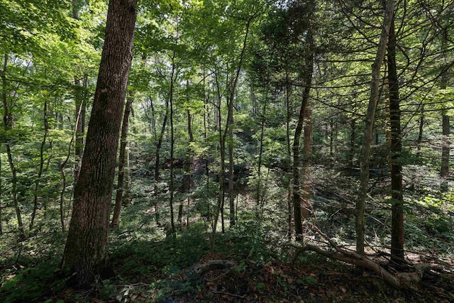 TBD Stribling Springs Rd, Mount Solon, VA 22843