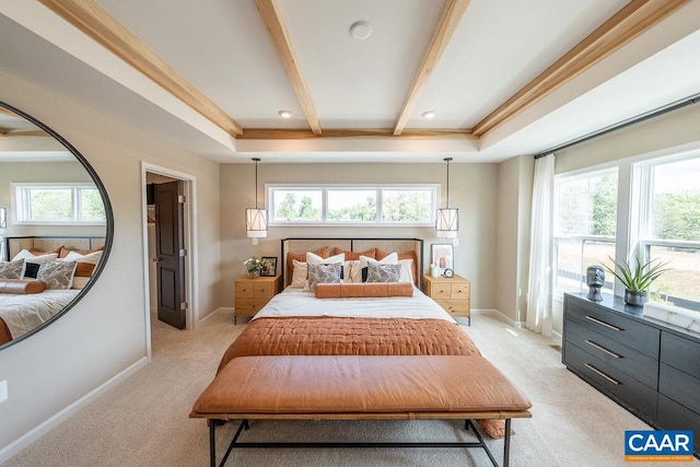 3018 Horizon Rd, Charlottesville, VA 22902 - bedroom with light carpet, beam ceiling, multiple windows, and baseboards