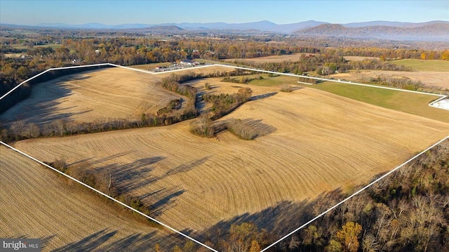 92 Seminole Trl, Madison, VA 22727 - photo 24