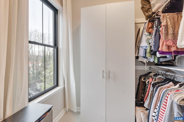 view of spacious closet