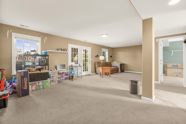 96 Lofty Cir, Stuarts Draft, VA 24477 - game room with carpet floors, french doors, and healthy amount of natural light