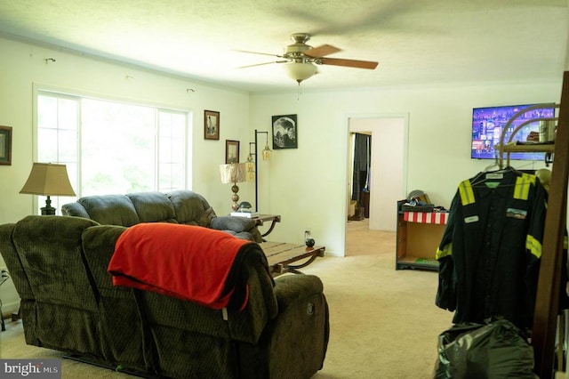 32257 Indiantown Rd, Locust Grove, VA 22508 - photo 13