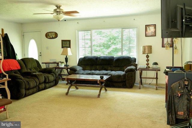 32257 Indiantown Rd, Locust Grove, VA 22508 - photo 18