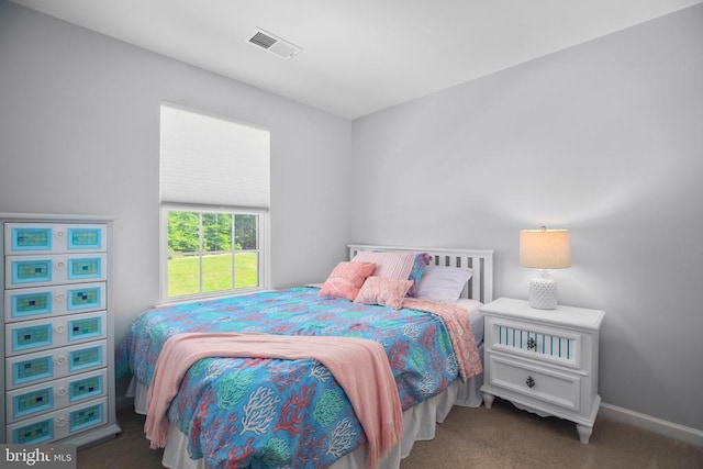 8410 Devries Ln, Spotsylvania, VA 22553 - photo 23