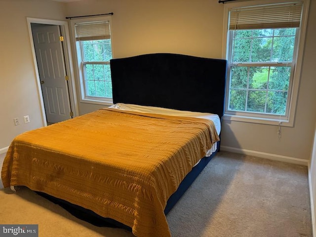 55 Sire Way, Warrenton, VA 20186 - bedroom with multiple windows and carpet