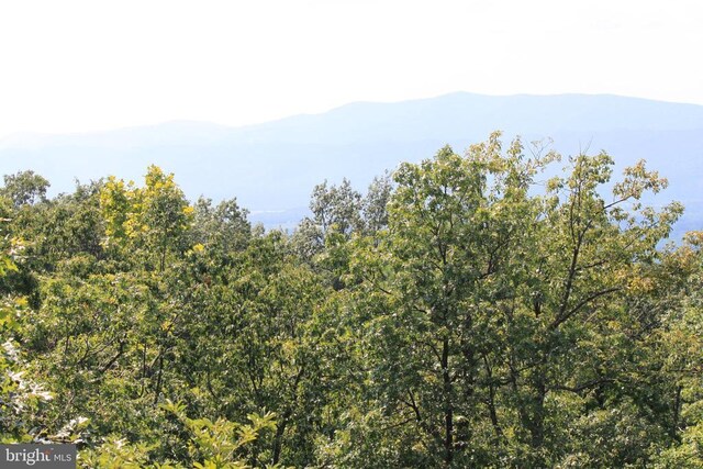 Wildwood Ln, Shenandoah, VA 22849 - photo 4