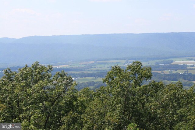 Wildwood Ln, Shenandoah, VA 22849 - photo 5
