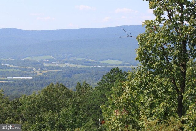 Wildwood Ln, Shenandoah, VA 22849 - photo 3