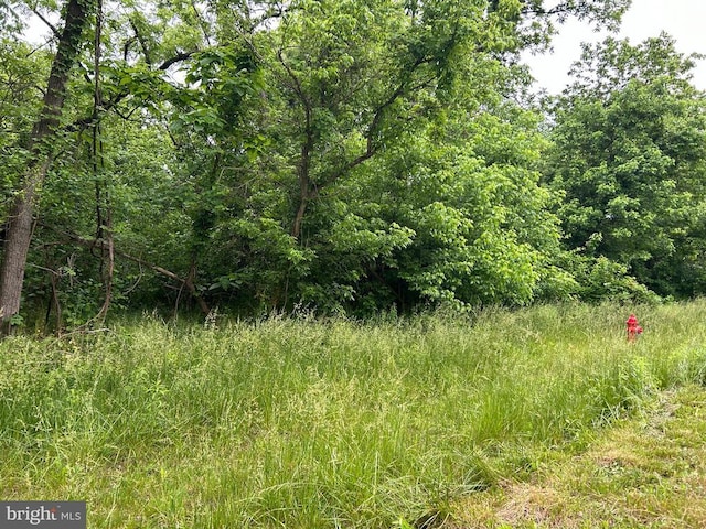 0 Main St E, Marshall VA land for sale