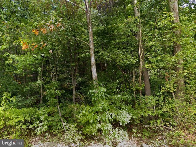 0 Mosbys Camp Rd, Stanley, VA 22851