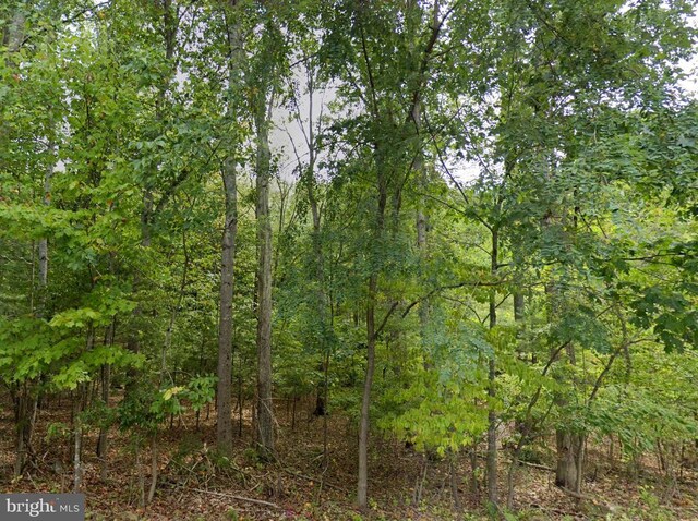 0 Mosbys Camp Rd, Stanley, VA 22851