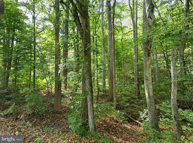 0 Mosbys Camp Rd, Stanley, VA 22851