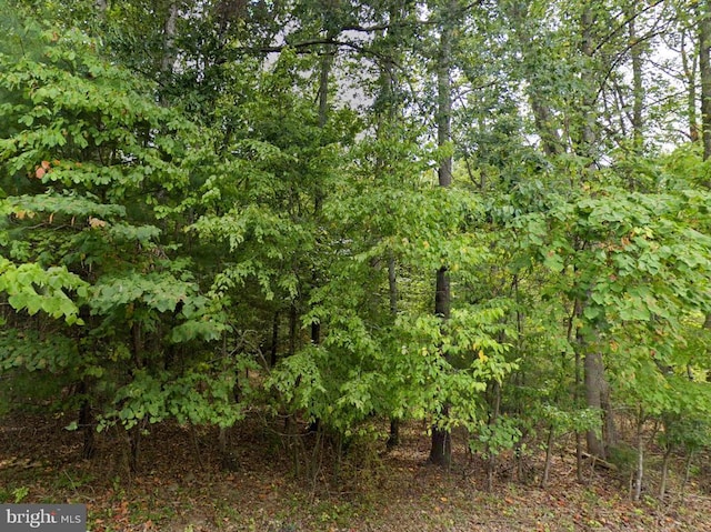 0 Mosbys Camp Rd, Stanley, VA 22851