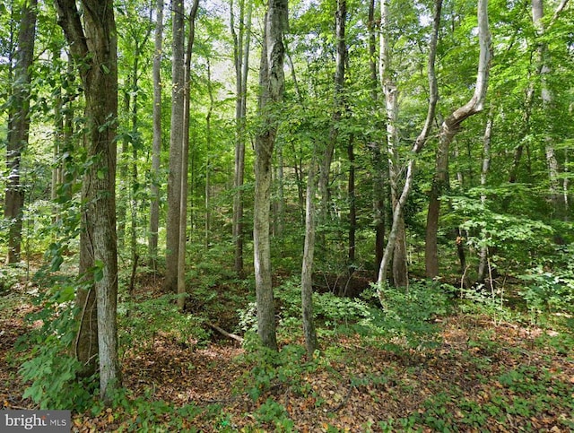 0 Mosbys Camp Rd, Stanley, VA 22851