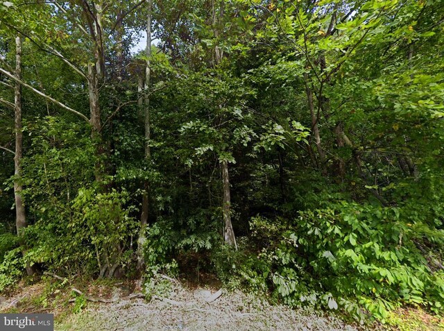 0 Mosbys Camp Rd, Stanley, VA 22851