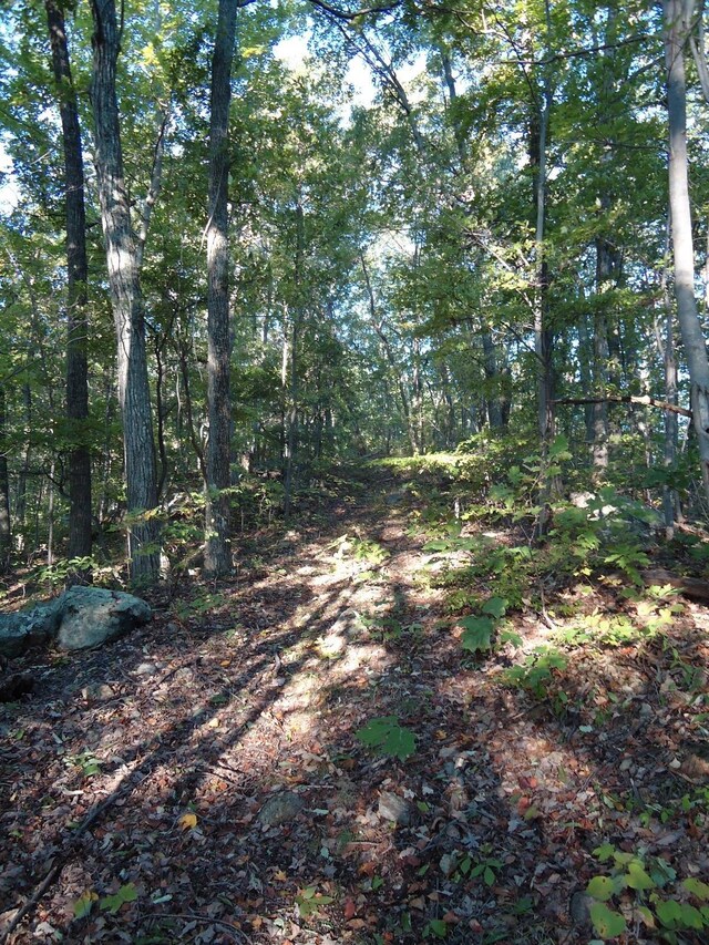Farmview Rd, Stanardsville, VA 22973 - photo 15