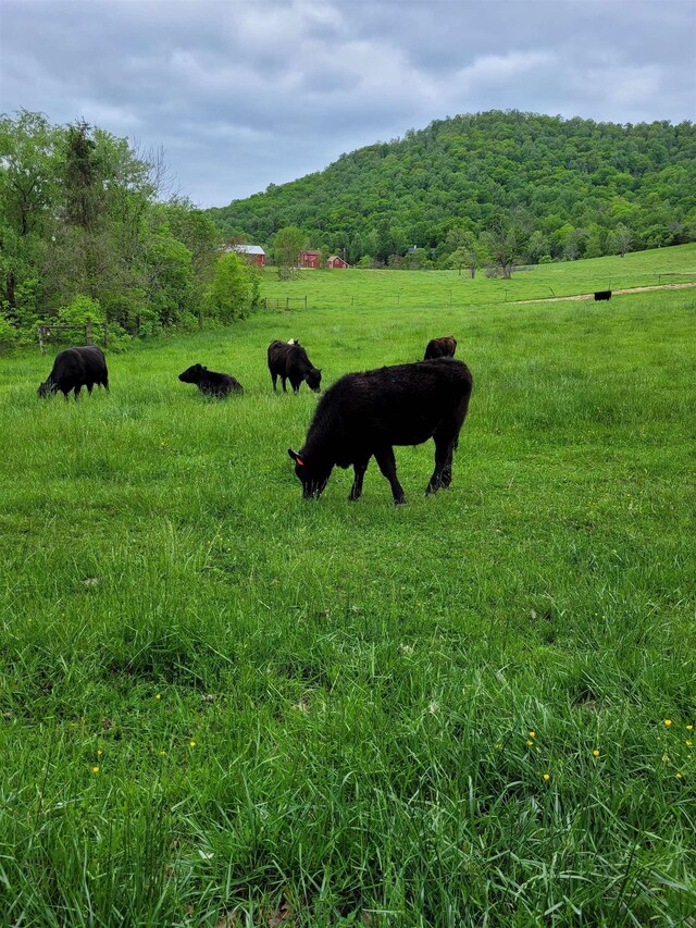 Farmview Rd, Stanardsville, VA 22973 - photo 3