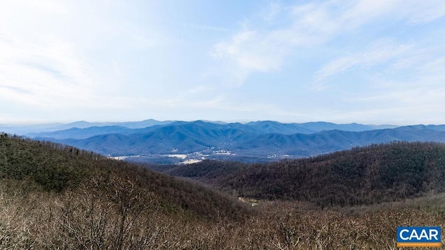 107 Chestnut Ln, Wintergreen Resort, VA 22967