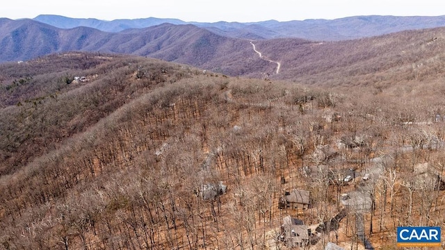 107 Chestnut Ln, Wintergreen Resort, VA 22967