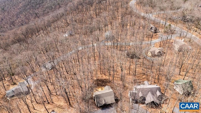 107 Chestnut Ln, Wintergreen Resort, VA 22967