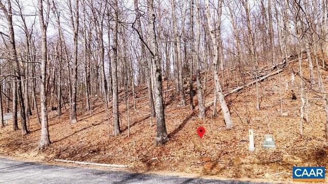 107 Chestnut Ln, Wintergreen Resort, VA 22967