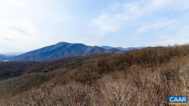107 Chestnut Ln, Wintergreen Resort, VA 22967