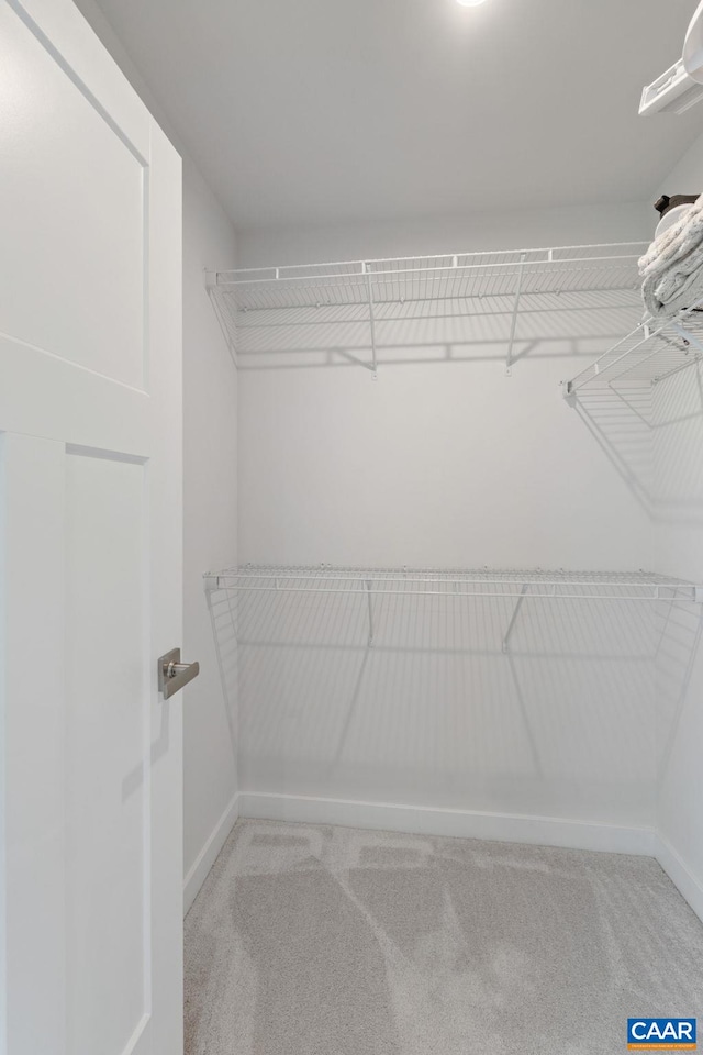 712 Empire St, Charlottesville, VA 22901 - walk in closet featuring carpet