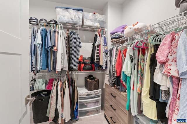 712 Empire St, Charlottesville, VA 22901 - view of spacious closet