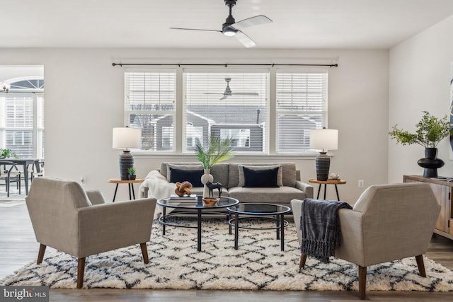 living area with a ceiling fan, healthy amount of natural light, and wood finished floors