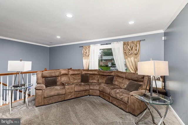 12016 Branchwater St, Fredericksburg, VA 22407 - living area with carpet, recessed lighting, crown molding, and baseboards