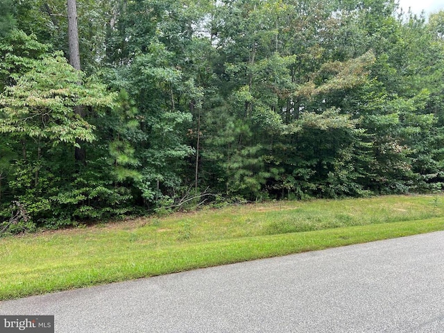Noahs Landing Dr, Bumpass, VA 23024 - photo 2