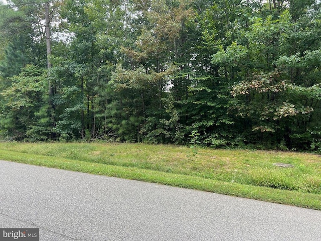 Noahs Landing Dr, Bumpass, VA 23024 - photo 1