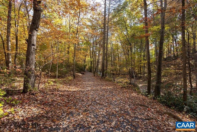 316 Stoney Creek W, Nellysford, VA 22958