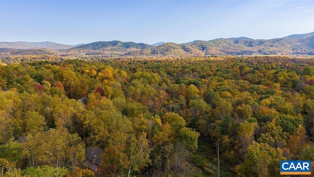 316 Stoney Creek W, Nellysford, VA 22958