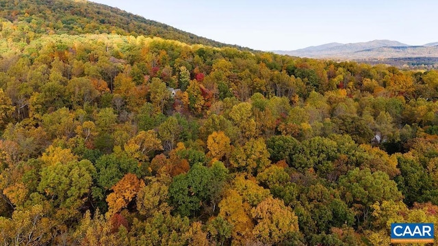 316 Stoney Creek W, Nellysford, VA 22958