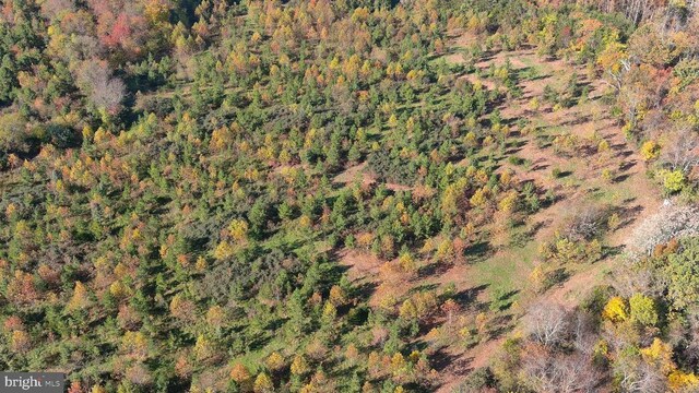 Old Barboursville Rd, Gordonsville, VA 22942 - photo 4