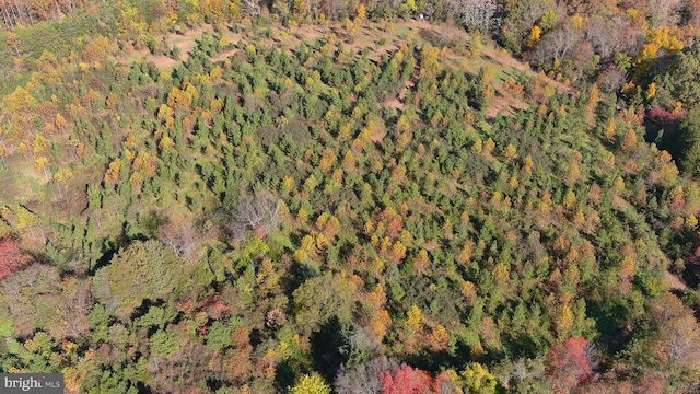 Old Barboursville Rd, Gordonsville, VA 22942 - photo 6