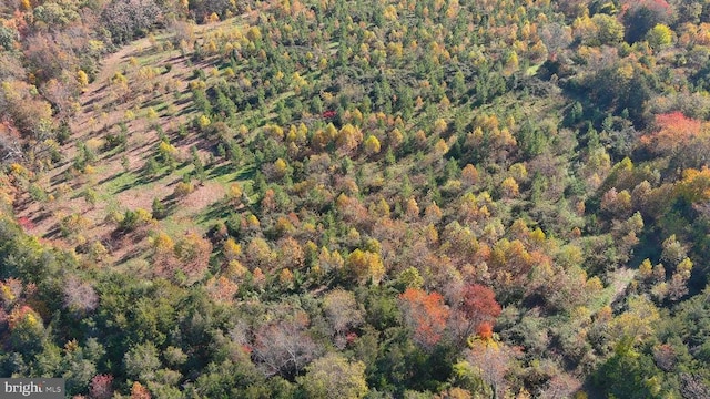 Old Barboursville Rd, Gordonsville, VA 22942 - photo 7