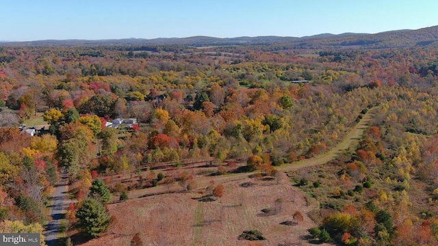 Old Barboursville Rd, Gordonsville, VA 22942 - photo 10