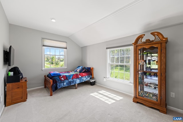 105 Squirrel Path, Stanardsville, VA 22973 - photo 28