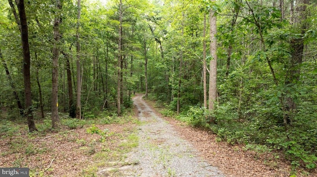 Johnson Rd, Mineral, VA 23117
