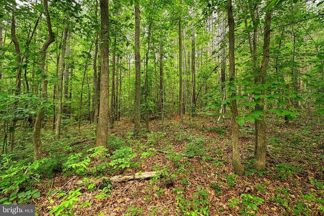 Johnson Rd, Mineral, VA 23117